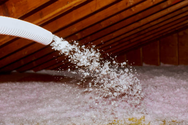Best Spray Foam Insulation in Pine Level, NC