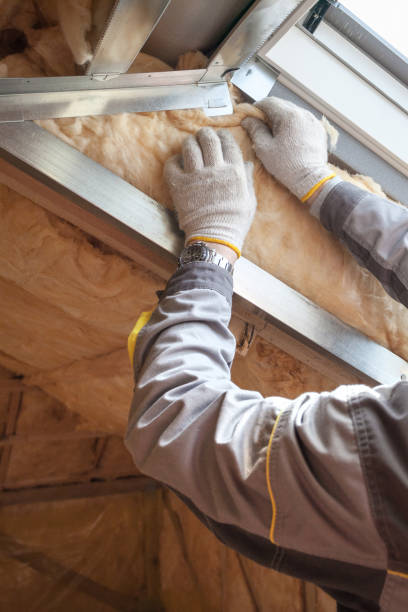 Best Cellulose Insulation in Pine Level, NC