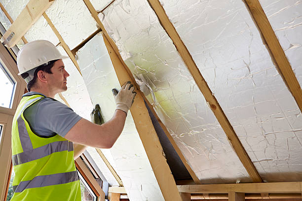 Best Residential Insulation in Pine Level, NC