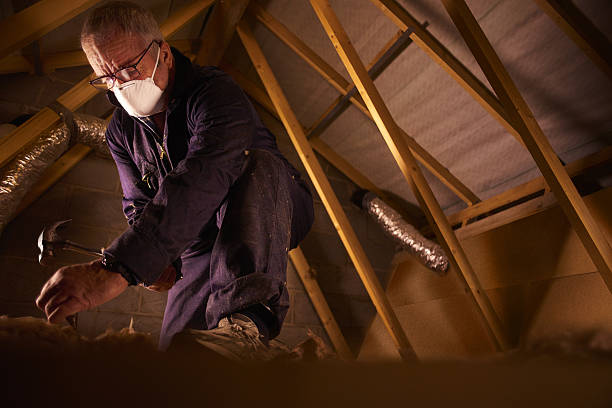 Best DIY Insulation Kits and Guidance in Pine Level, NC